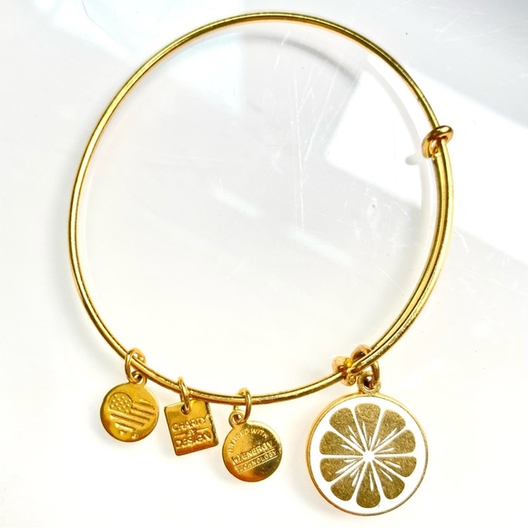 Alex and Ani Jewelry - Alex and Ani Gold Charm Bracelet with Citrus Design